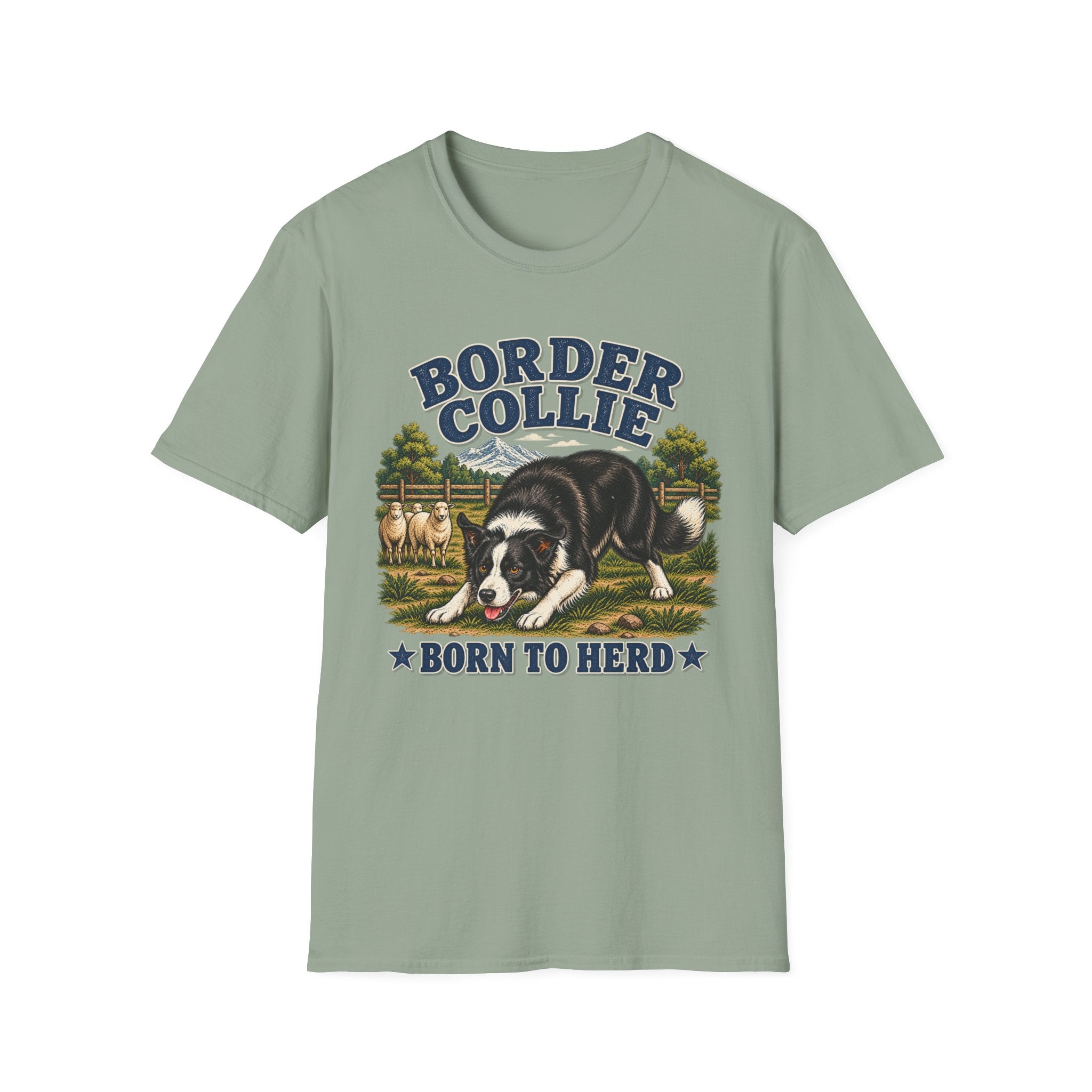 Border collie