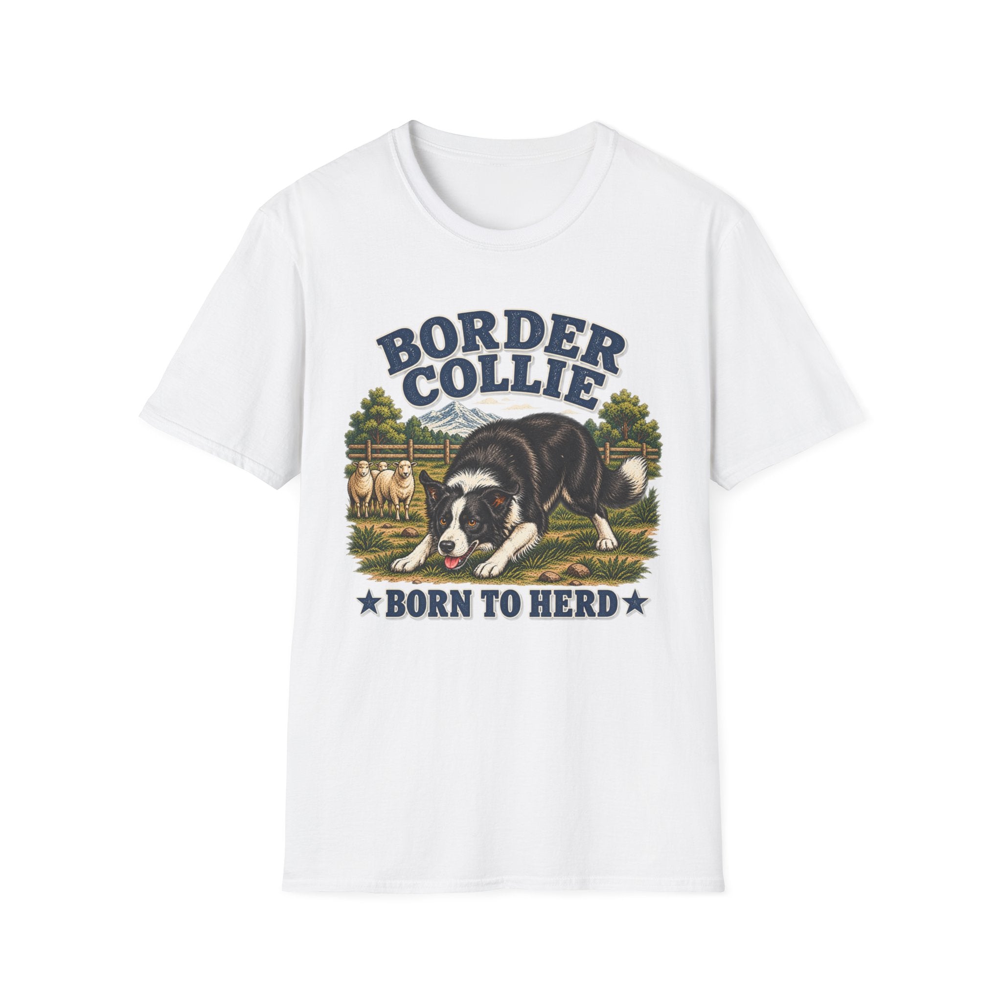 Border collie