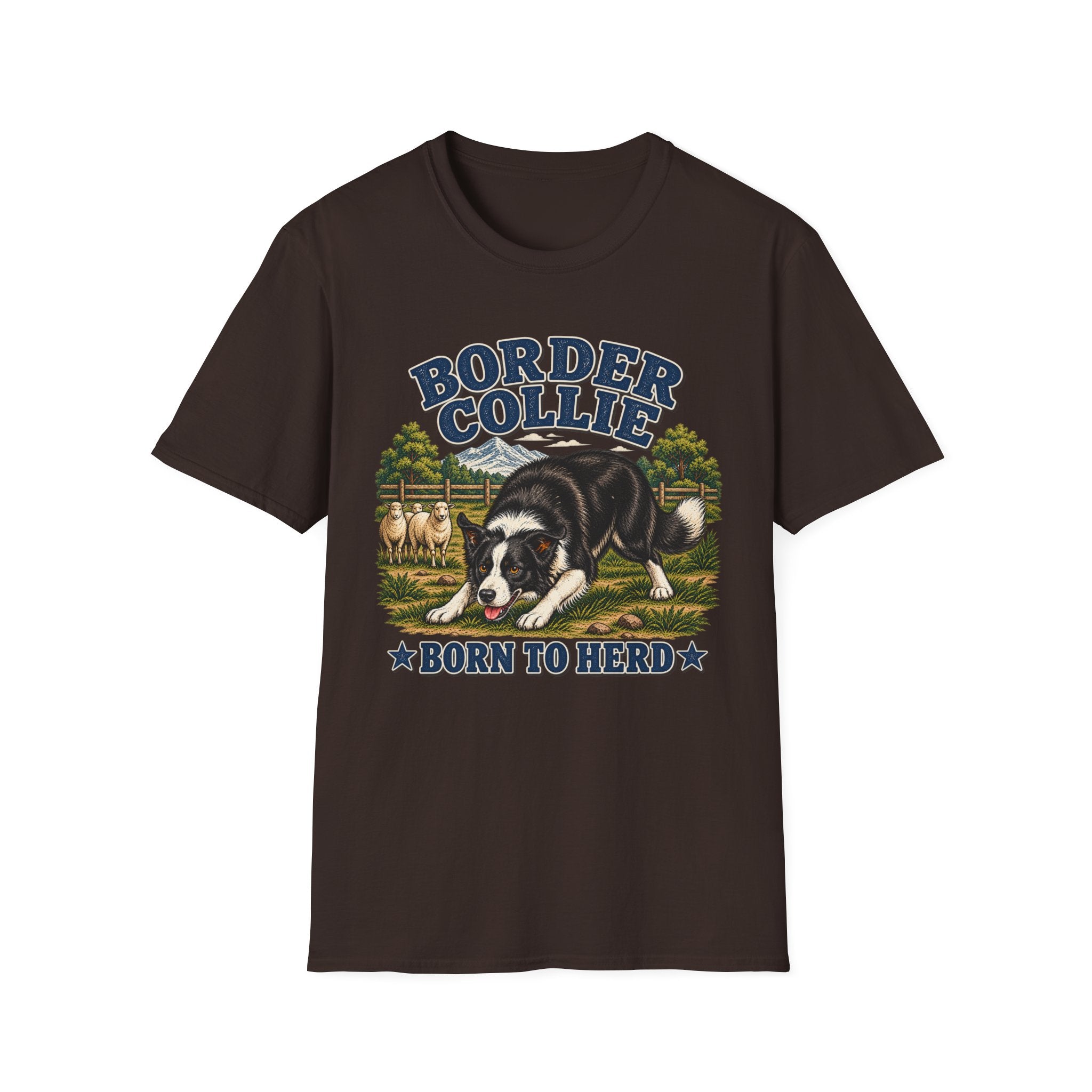Border collie