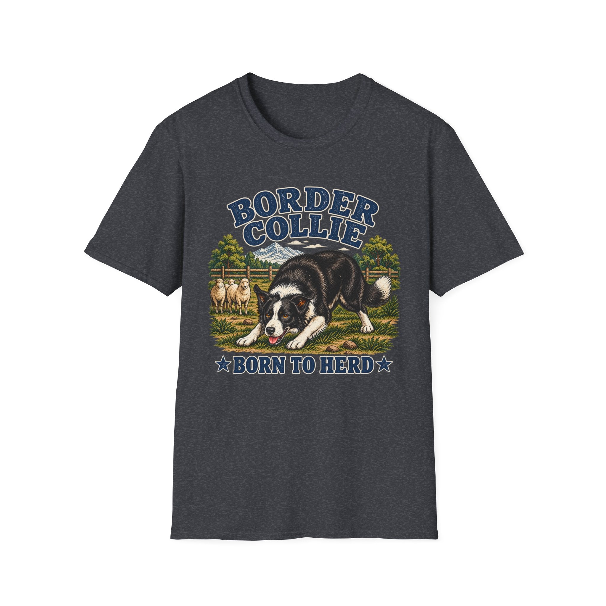 Border collie