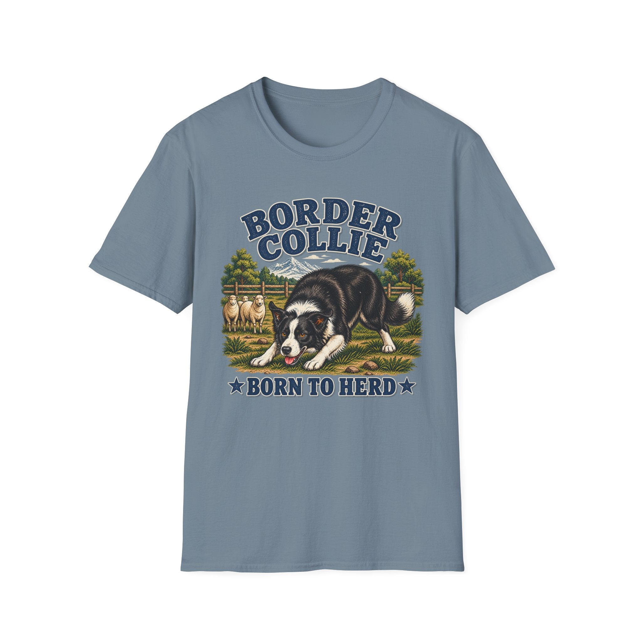 Border collie